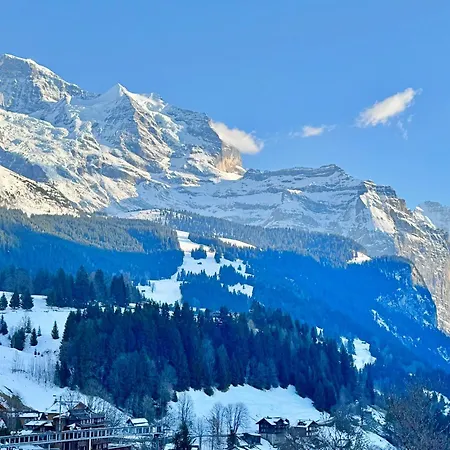 Lägenhet Eiger 2 Wengen